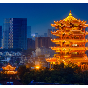 文化内容 —— 推动文化 IP 与品牌发展